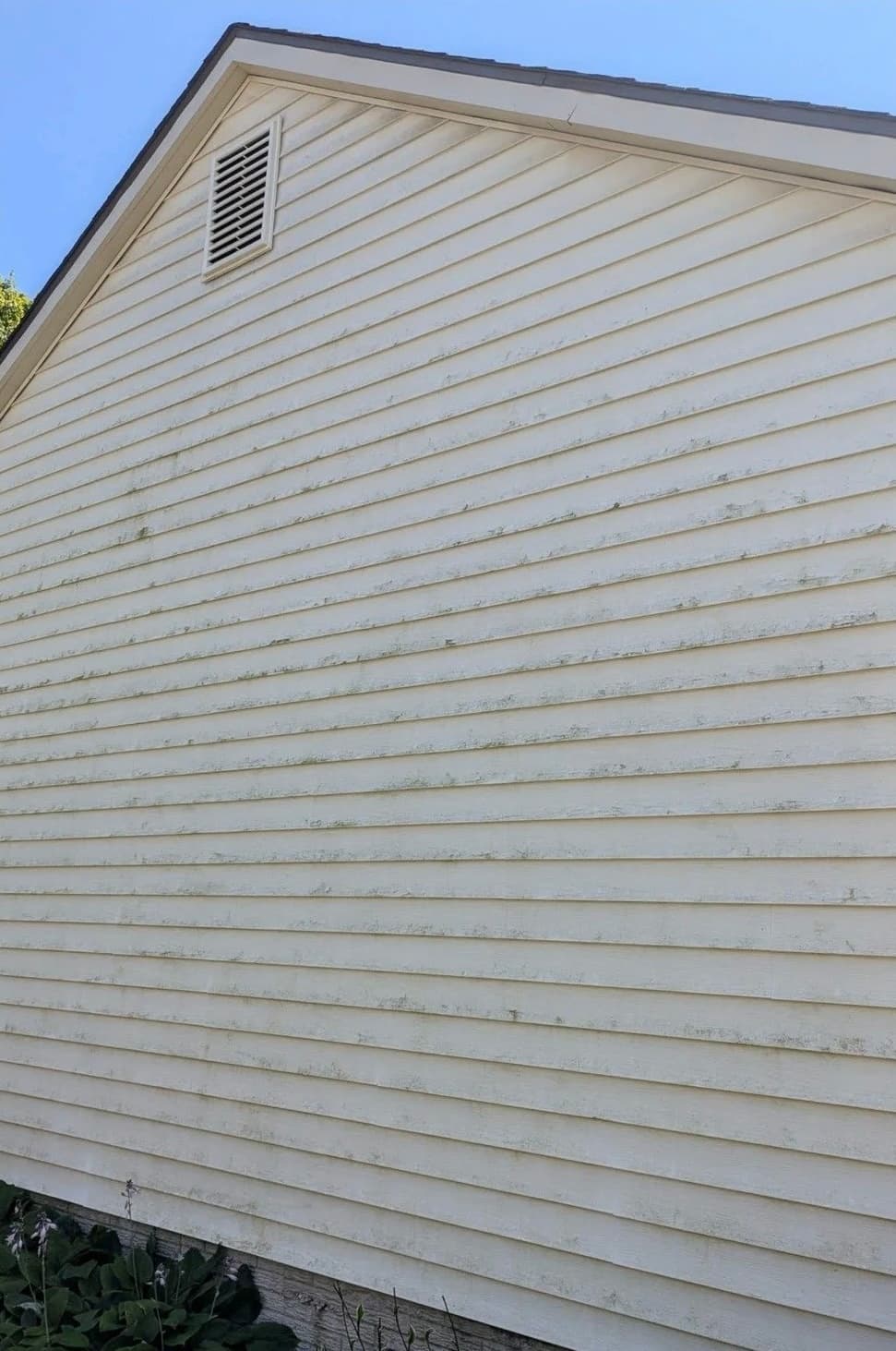 Before – House Exterior Soft Wash